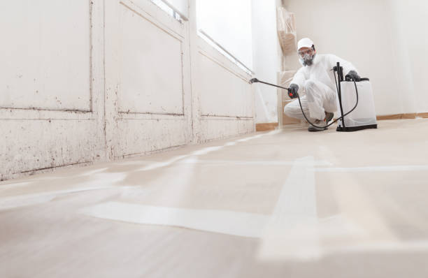 24/7 Emergency Mold Testing experts in Dublin, TX